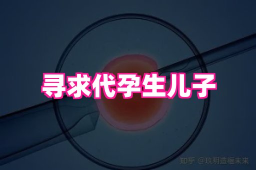 国际助孕网 4